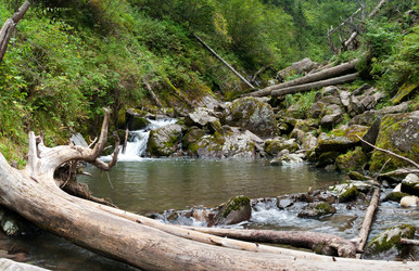 Similar image 596610