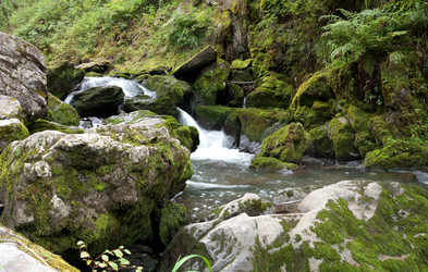 Similar image 596621