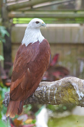 Similar image 596625