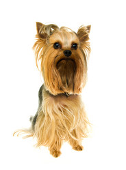 Similar image 596645