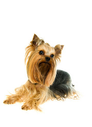 Similar image 596652