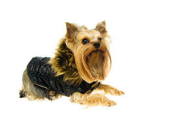 Similar image 596660