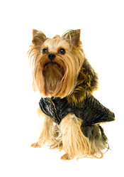 Similar image 596661