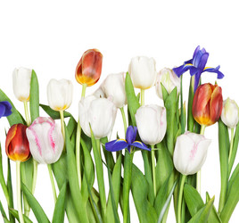 Similar image 596695