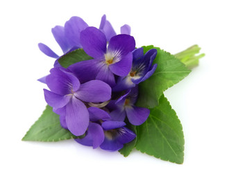 Similar image 596713