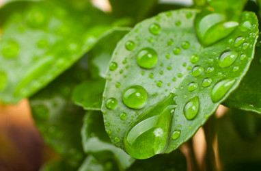 Similar image 596864