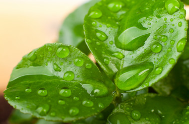 Similar image 596866