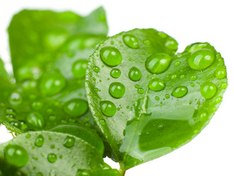 Similar image 596869