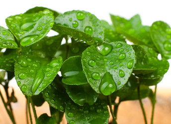 Similar image 596871