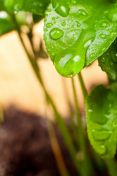 Similar image 596873