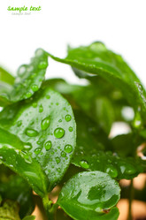 Similar image 596878