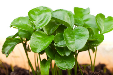 Similar image 596887