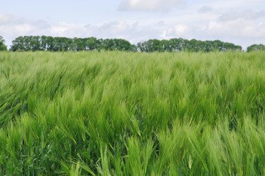 Similar image 596935