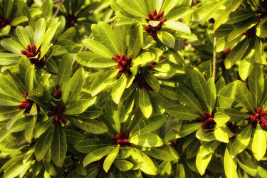 Similar image 597233