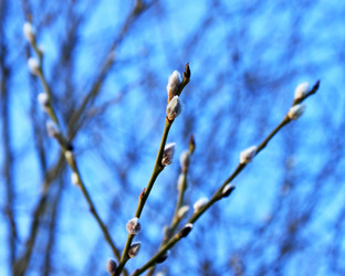 Similar image 597252