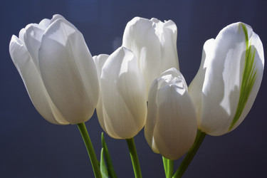 Similar image 597264