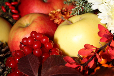 Similar image 597314