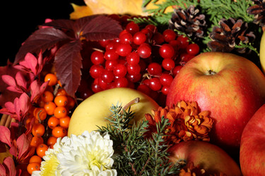 Similar image 597316