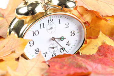 Similar image 597320