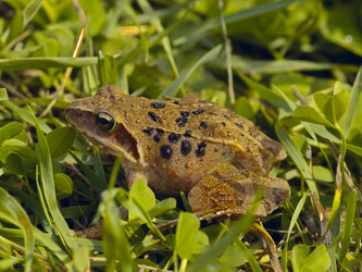 Similar image 597345