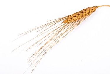 Similar image 597439