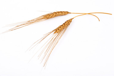 Similar image 597440