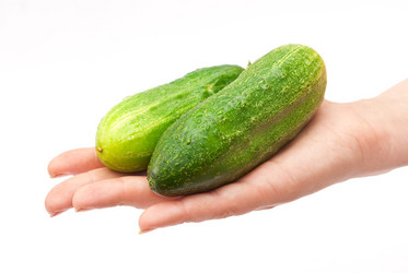 Similar image 597450