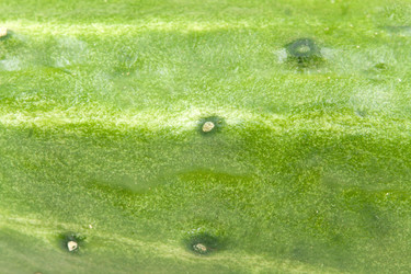 Similar image 597489