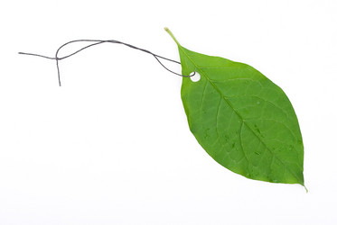 Similar image 597516