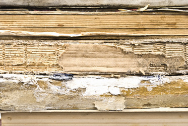 Similar image 597670