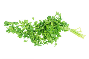 Similar image 597694