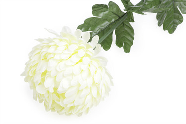 Similar image 597778