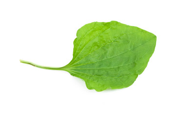 Similar image 597807