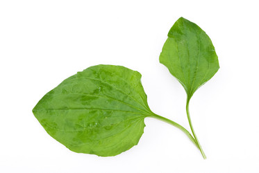 Similar image 597808