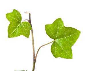 Similar image 597812