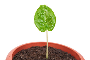 Similar image 597823