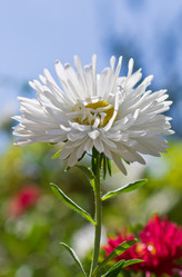 Similar image 597849