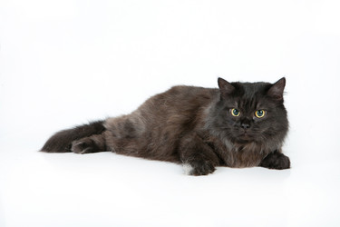 Similar image 597969