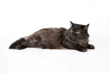 Similar image 597971