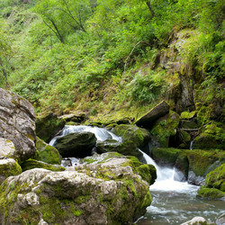 Similar image 597990