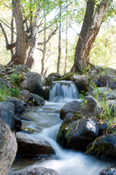 Similar image 597991