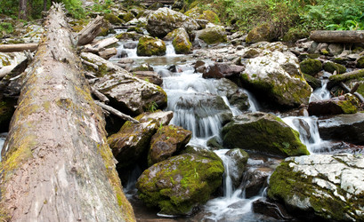 Similar image 597993