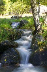 Similar image 597997