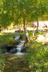 Similar image 597998