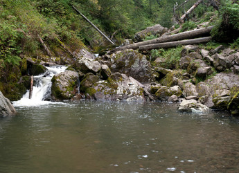 Similar image 597999