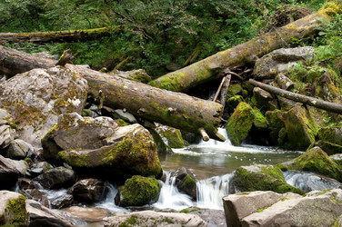 Similar image 598000