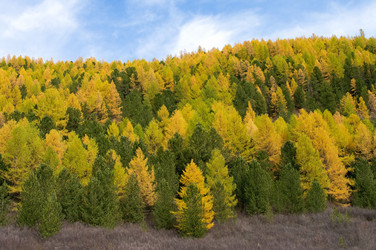 Similar image 598097