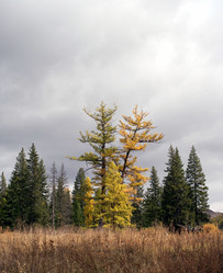 Similar image 598119