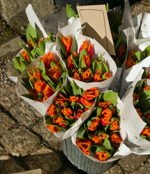 Similar image 598139