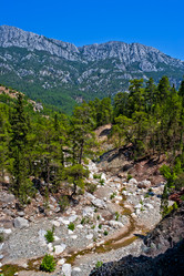 Similar image 598159